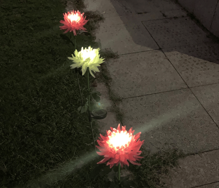 🎁Shop Now 49% OFF🎁 - SPRING ARTIFICIAL Chrysanthemum SOLAR GARDEN STAKE LED