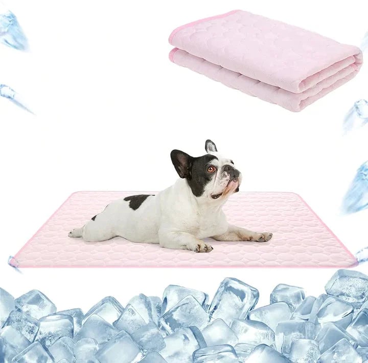 💥Premium cooling mat for dogs