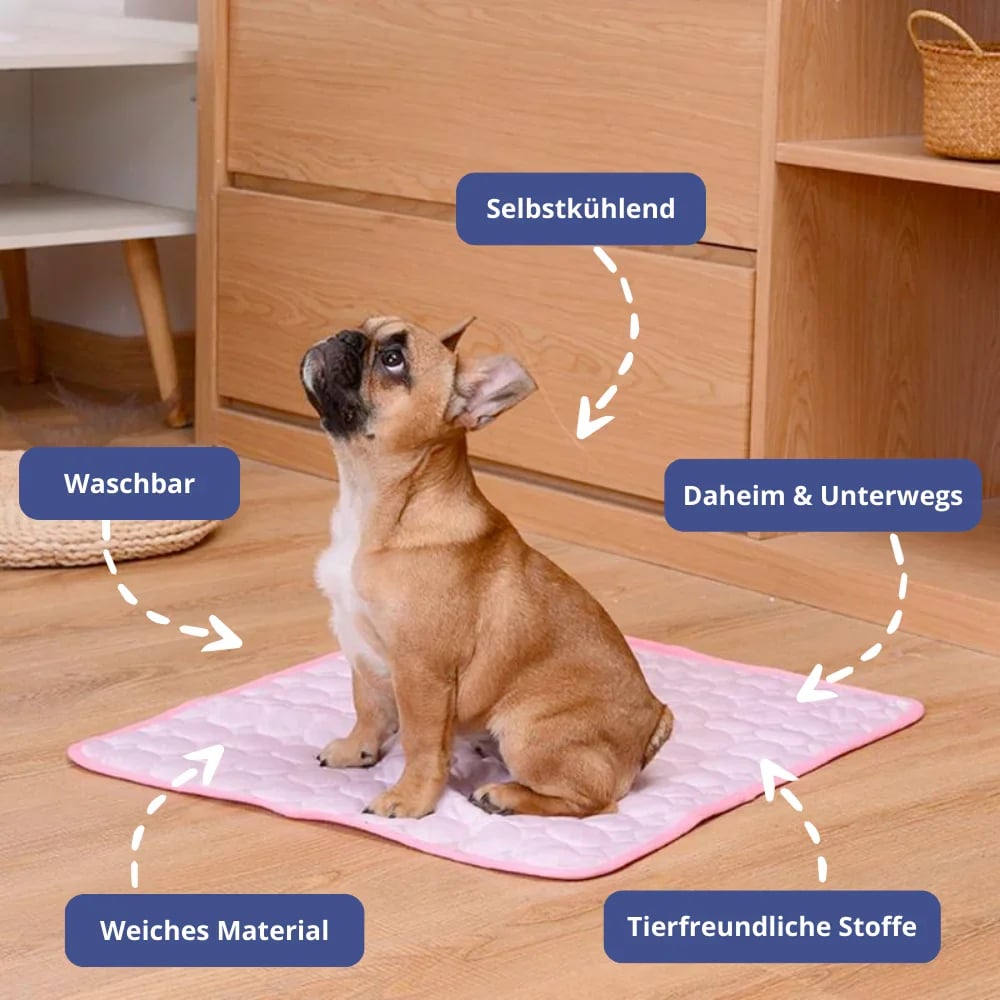💥Premium cooling mat for dogs