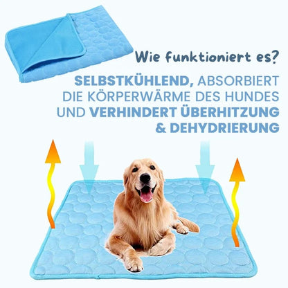 💥Premium cooling mat for dogs