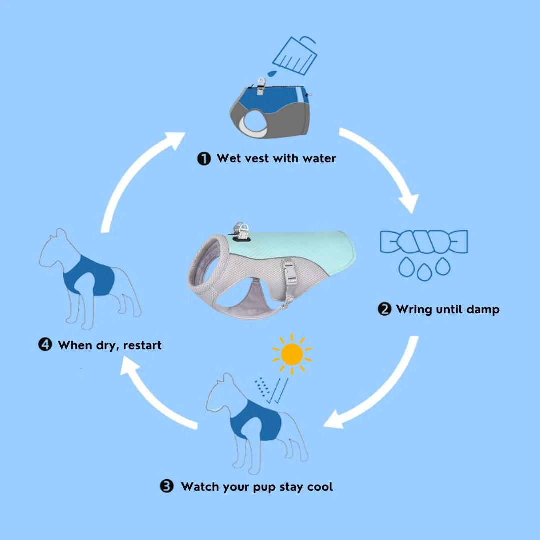 🔥 Ice Cooling Dog Protective Vest