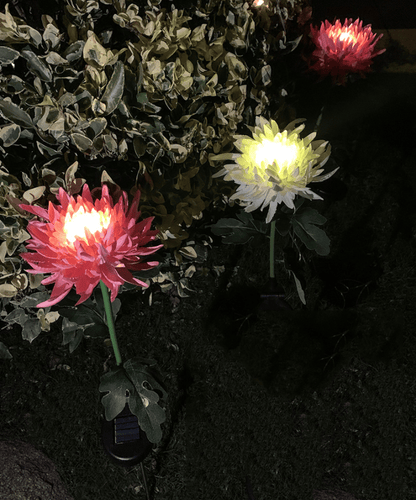 🎁Shop Now 49% OFF🎁 - SPRING ARTIFICIAL Chrysanthemum SOLAR GARDEN STAKE LED