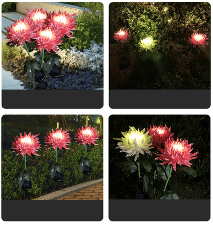 🎁Shop Now 49% OFF🎁 - SPRING ARTIFICIAL Chrysanthemum SOLAR GARDEN STAKE LED
