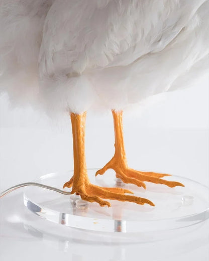 🐓💡Hilarious Chicken Egg Lamp