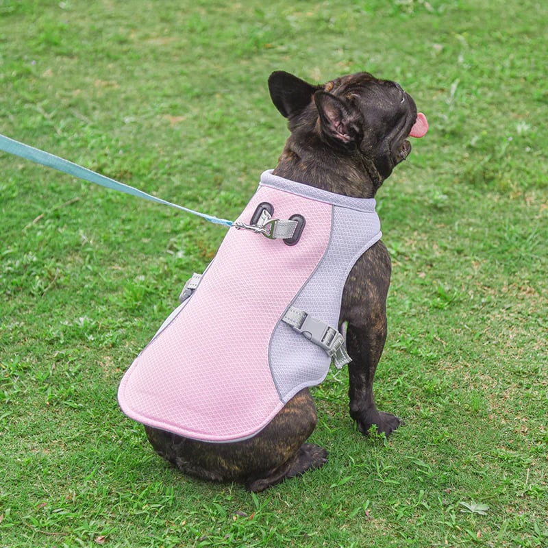 🔥 Ice Cooling Dog Protective Vest